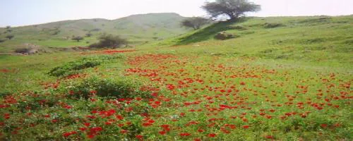 طبیعت و جاذبه های گردشگری مرند