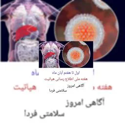 سازمان جهانی بهداشت به مناسبت روز جهانی هپاتیت، خواستار افزایش استفاده از آزمایش‌ها و درمان هپاتیت ویروسی شد و هشدار داد که اگر روند فعلی ادامه یابد، این بیماری می‌تواند تا ۲۰۴۰ بیش از مجموع بیماری‌های مالاریا، سل و HIV، انسان‌‌ها را به کام مرگ بکشاند